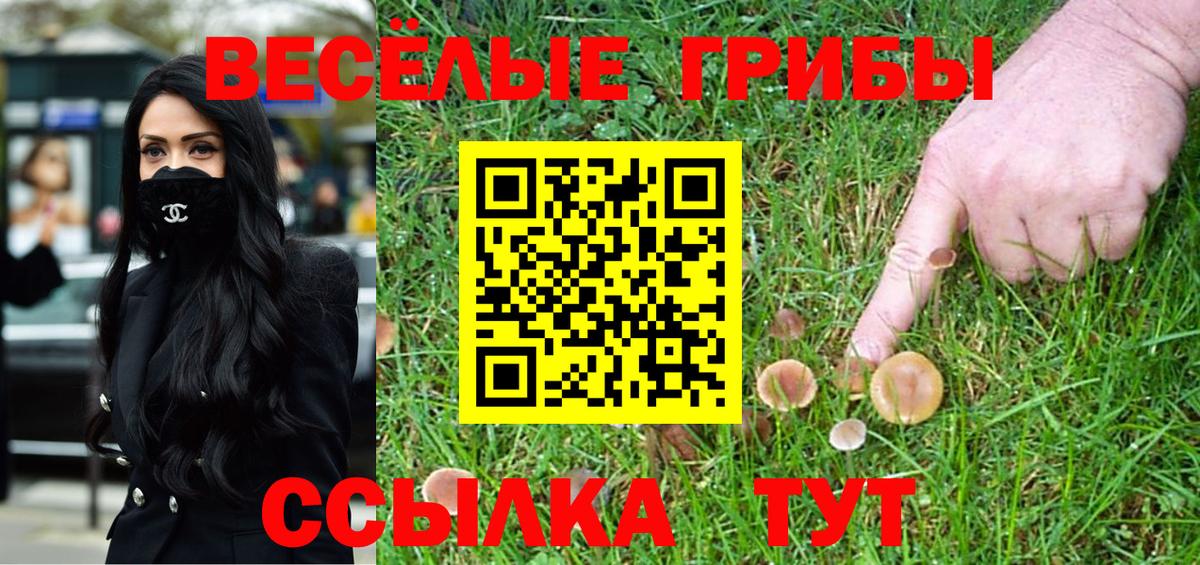 Галлюциногенные грибы прущие грибы Фролово