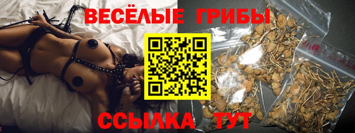 Галлюциногенные грибы прущие грибы  Вход с VPN  Галлюциногенные грибы мицелий  Фролово 
